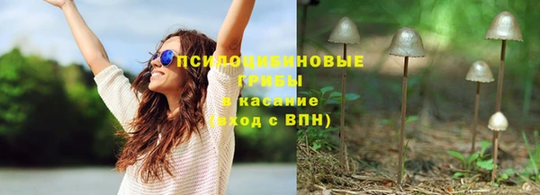 трава Беломорск