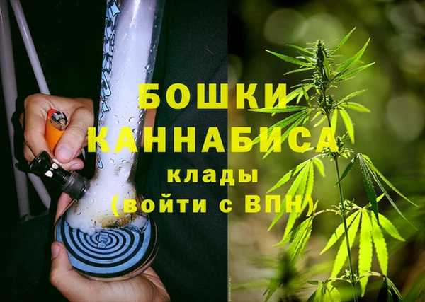 бутират Белокуриха