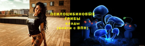 бутират Белокуриха