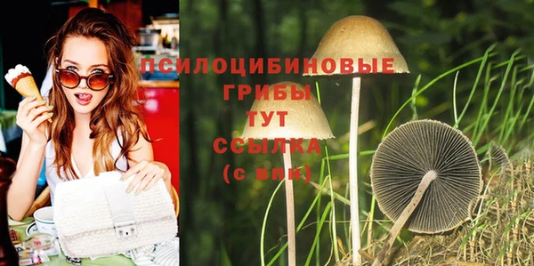 бутират Белокуриха