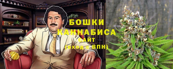 трава Беломорск