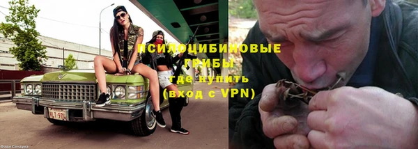 бутират Белокуриха