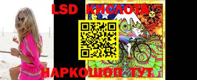 гидра Кандалакша