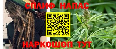 гашик Канаш