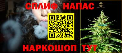 гидра Кандалакша