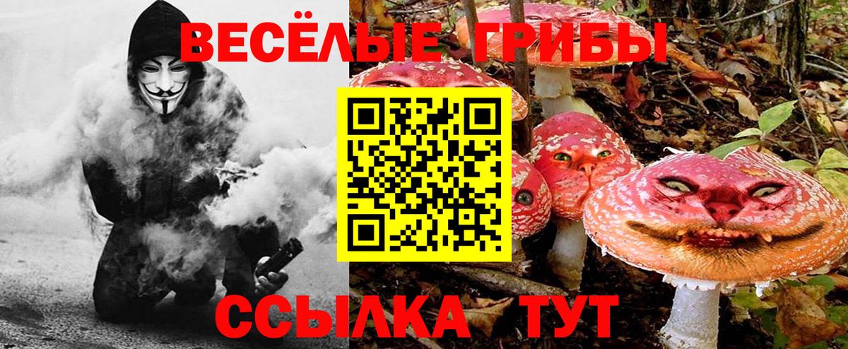 где купить наркоту  Вход с VPN  Псилоцибиновые грибы MAGIC MUSHROOMS  Краснокаменск  Псилоцибиновые грибы Cubensis 